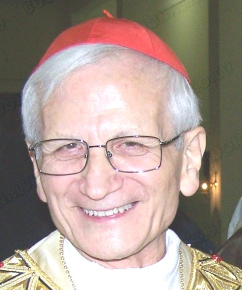 Cardinal Raffaele Farina, SDB